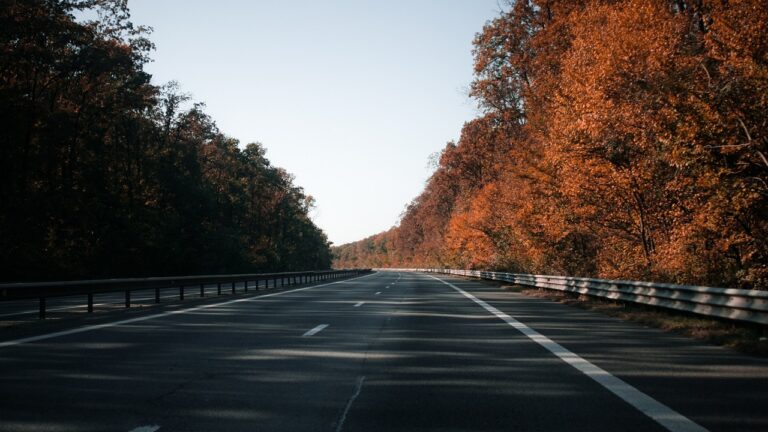Sustainable Transportation Solutions for Automotive Supply Chains: Lotusbook365 login, Play99exch com, All panel login