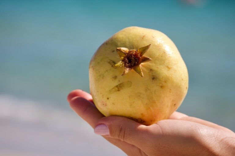 Exploring Global Food Markets: A Culinary Journey